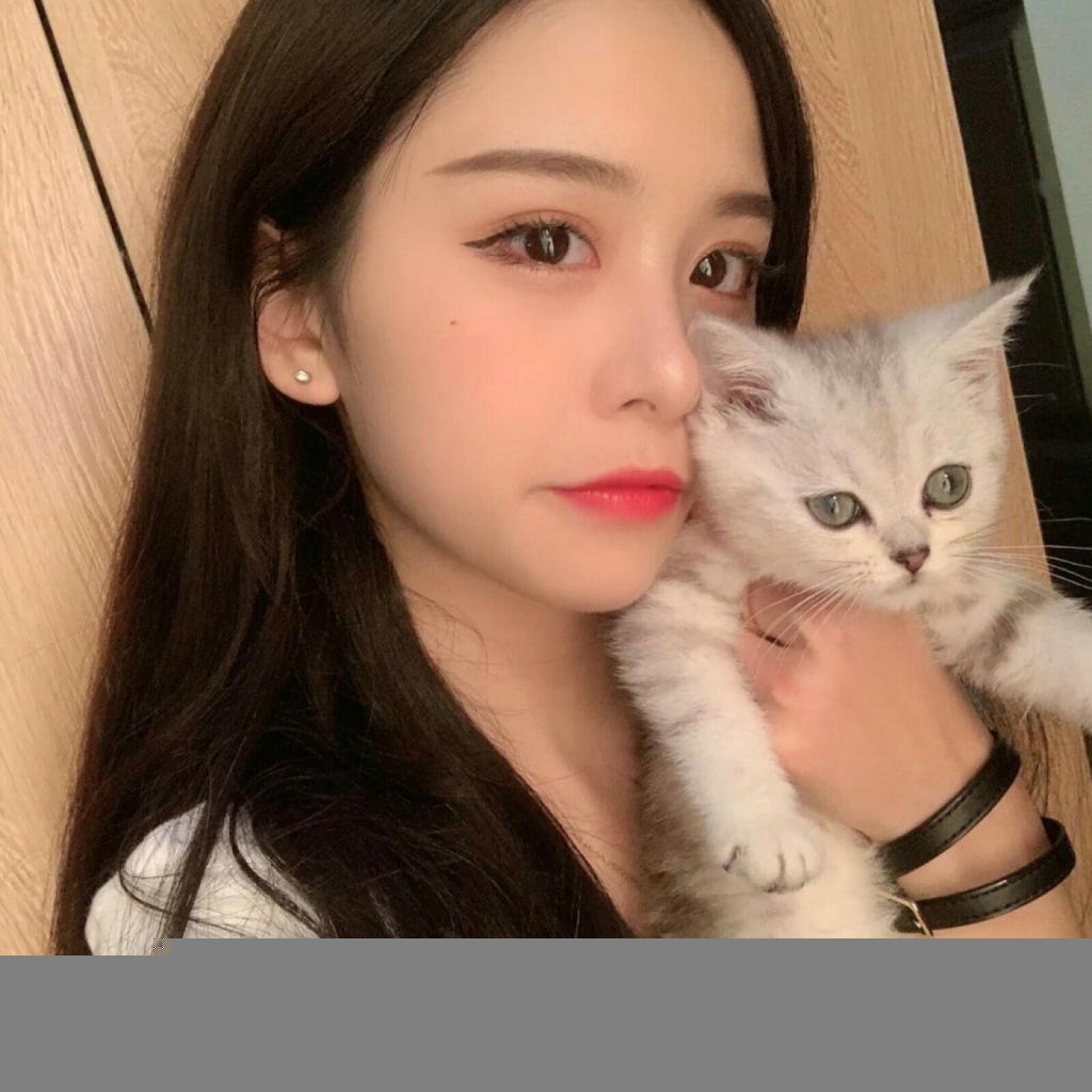 猴子进行曲完整版下载